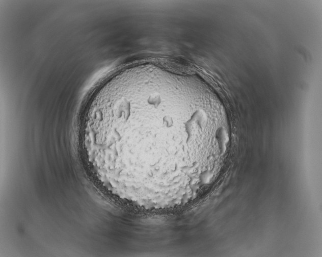 X0000111880149200908131641