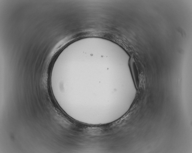 X0000111880150200908131641