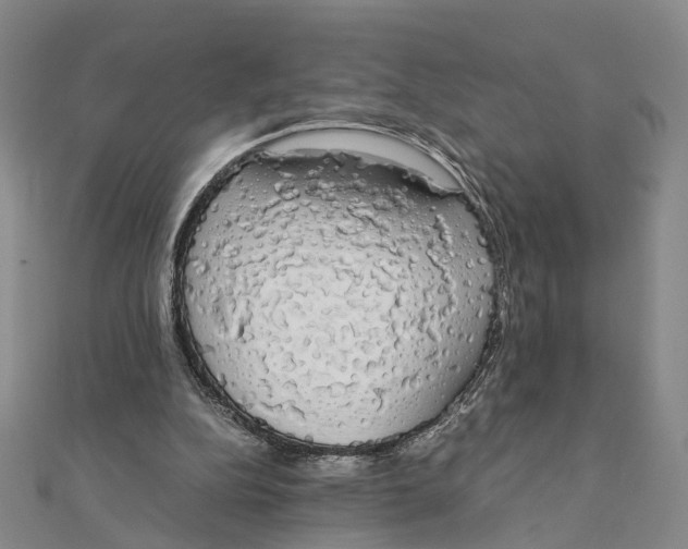 X0000111880152200908131641