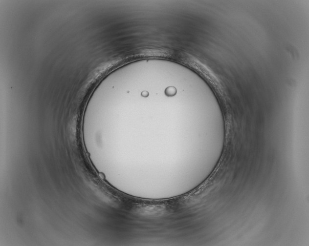 X0000111880155200908131641