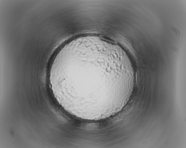 X0000111880156200908131641
