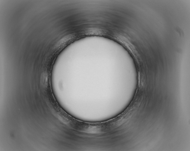 X0000111880157200908131641