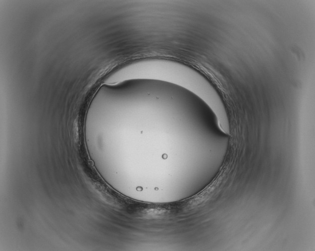 X0000111880158200908131641