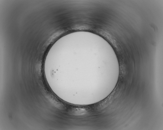 X0000111880159200908131641