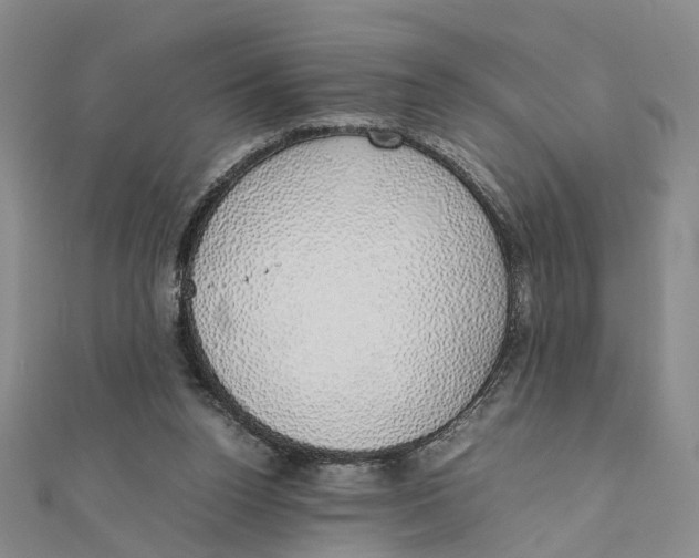 X0000111880160200908131641