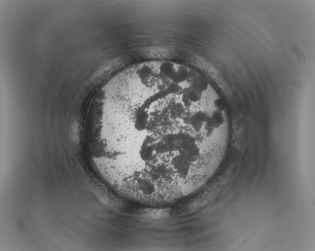 X0000111880161200908131641