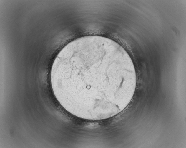 X0000111880162200908131641