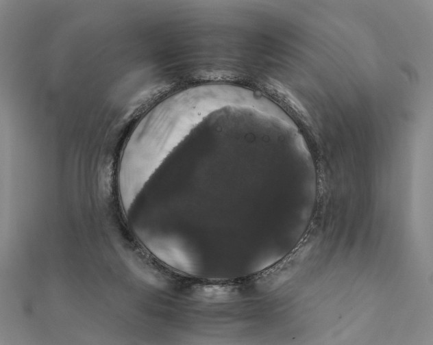 X0000111880163200908131641