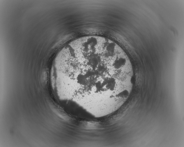 X0000111880165200908131641