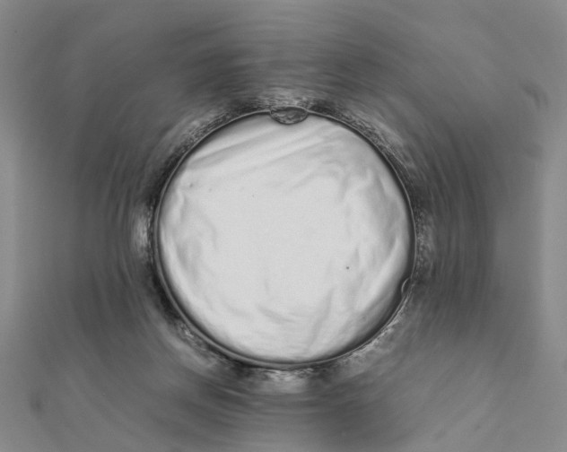 X0000111880166200908131641