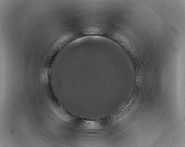 X0000111880167200908131641