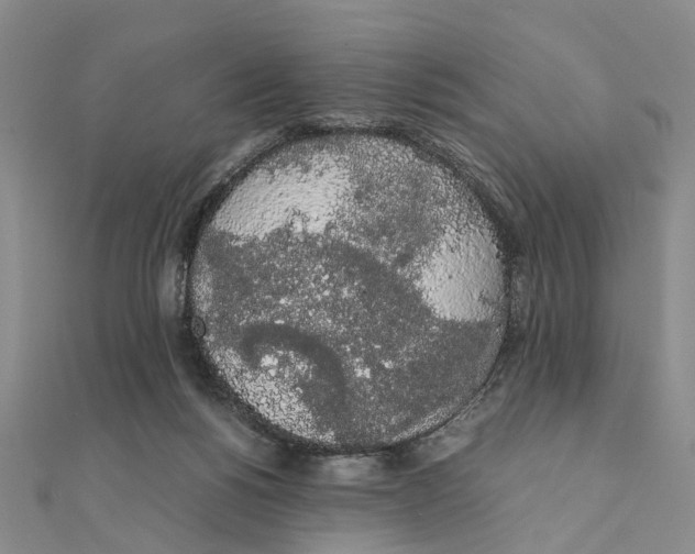 X0000111880168200908131641