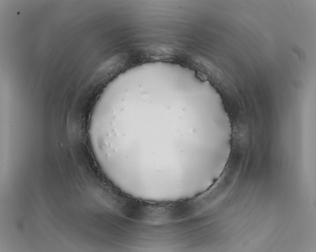 X0000111880170200908131641