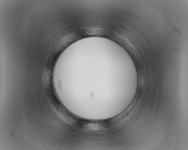 X0000111880171200908131641
