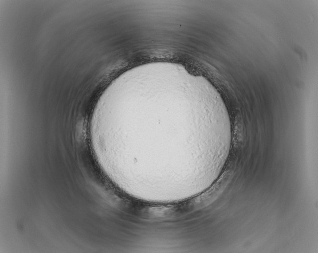 X0000111880172200908131641