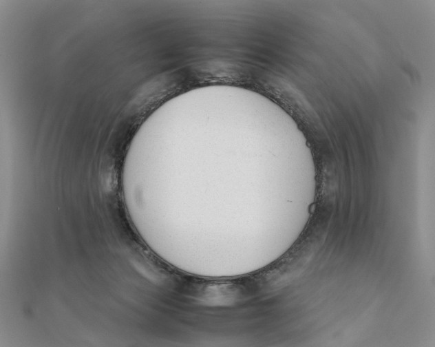 X0000111880173200908131641