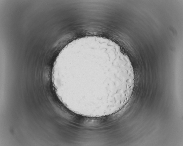 X0000111880174200908131641