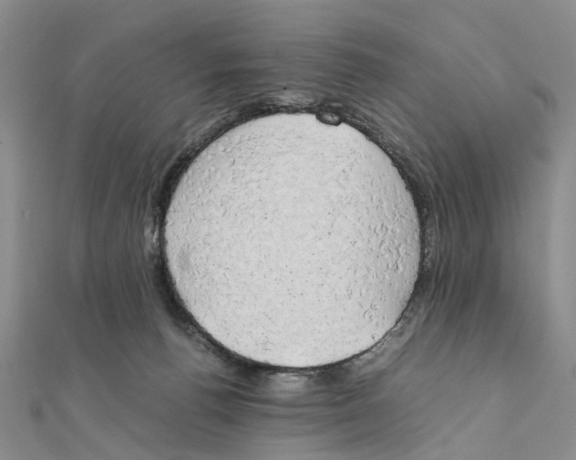 X0000111880176200908131641