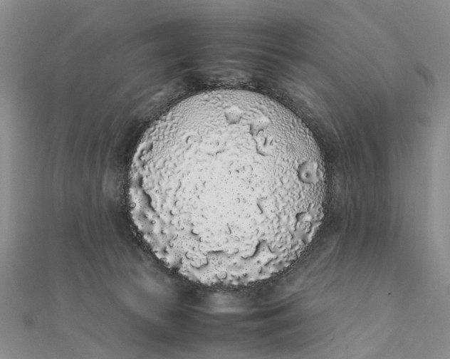 X0000111880177200908131641