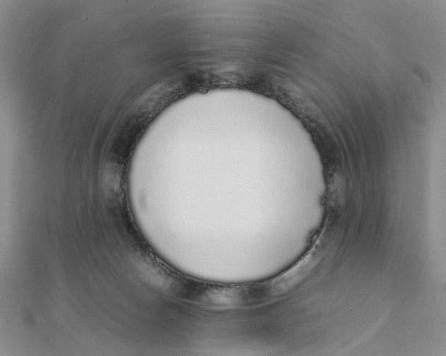 X0000111880178200908131641