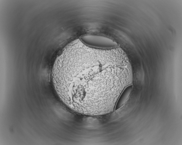 X0000111880180200908131641
