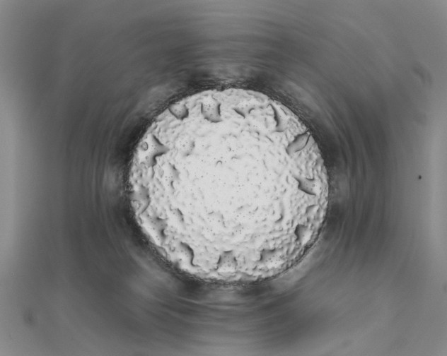 X0000111880182200908131641