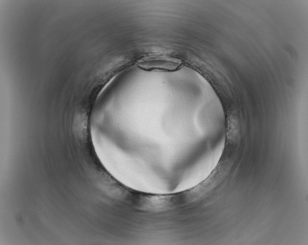 X0000111880184200908131641