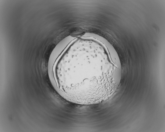 X0000111880186200908131641