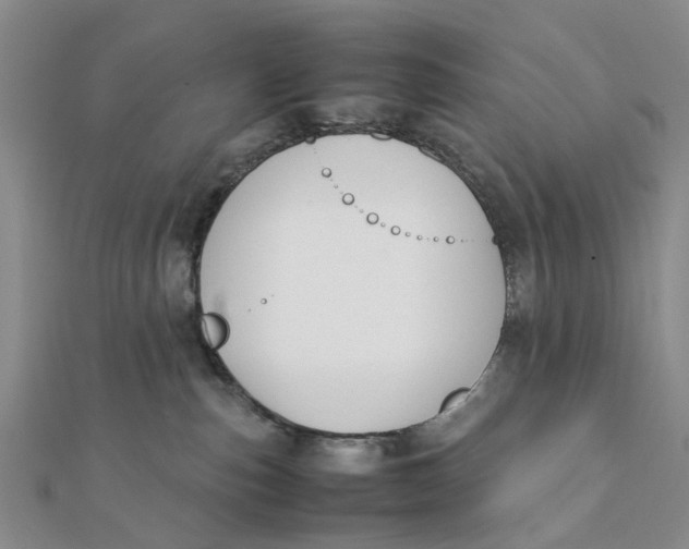 X0000111880187200908131641