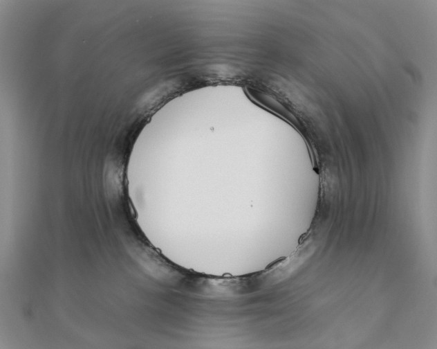 X0000111880188200908131641