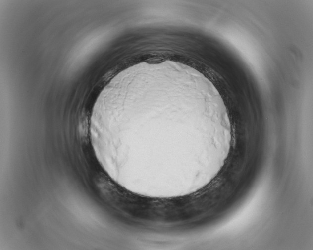 X0000111880190200908131641