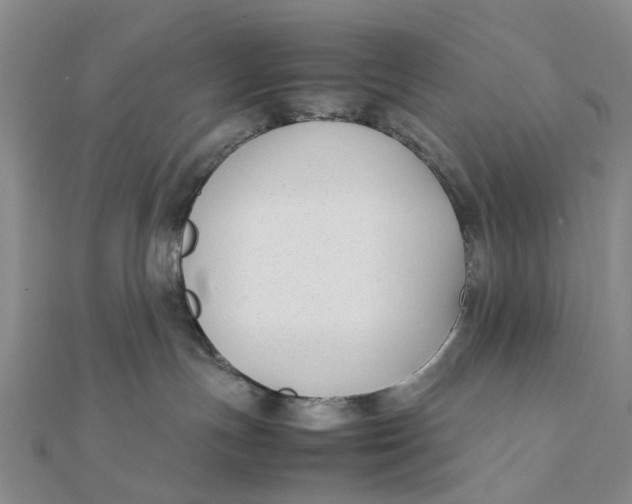 X0000111880191200908131641