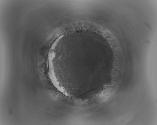 X0000111880192200908131641