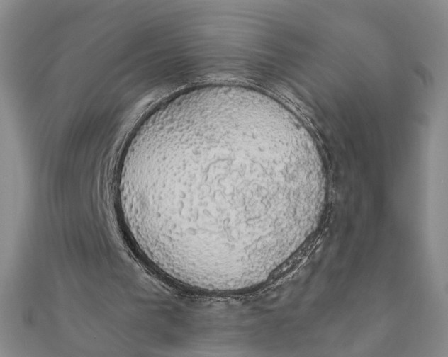 X0000111880193200908131641