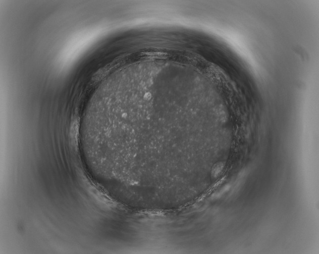 X0000111880194200908131641