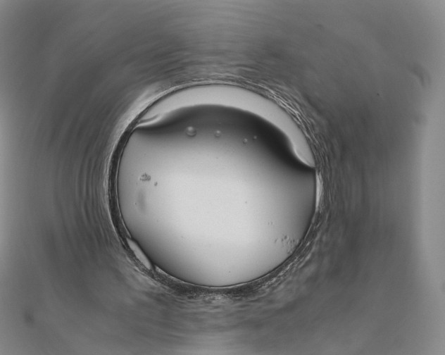 X0000111880195200908131641