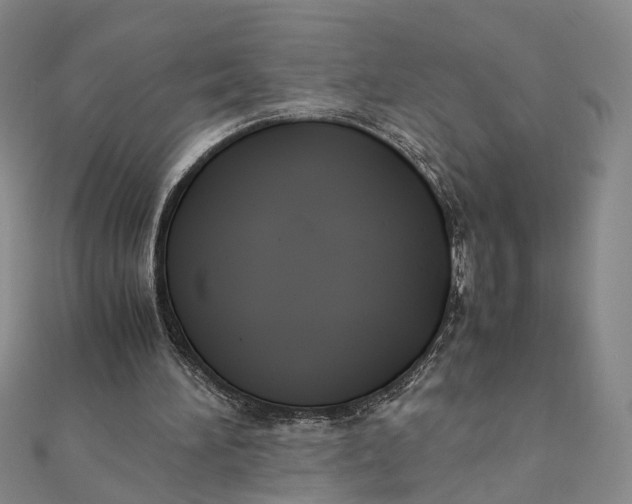 X0000111880196200908131641