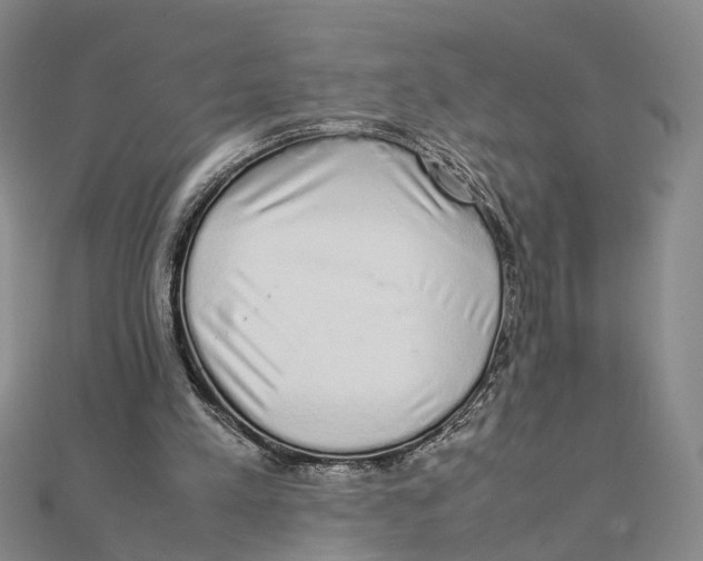 X0000111880197200908131641