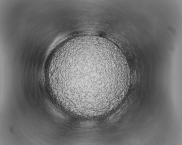 X0000111880198200908131640
