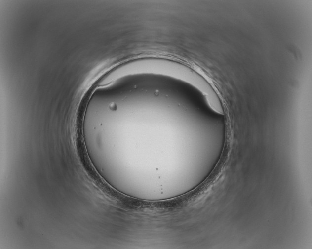 X0000111880199200908131640