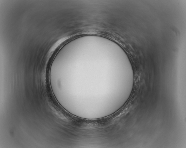 X0000111880200200908131640