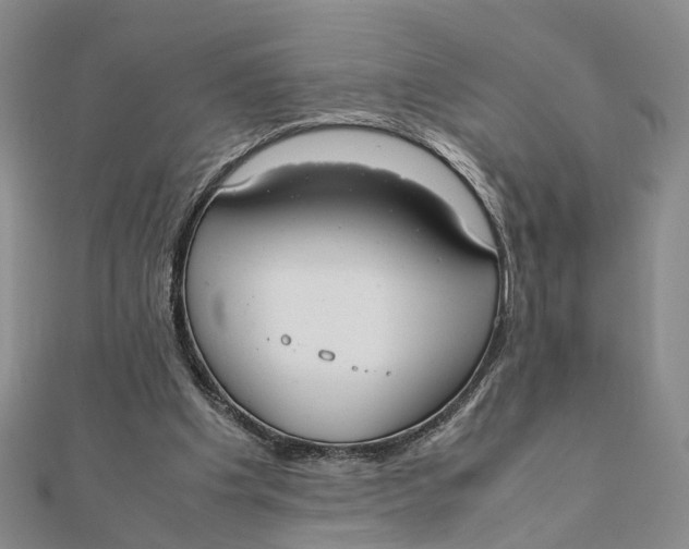 X0000111880201200908131640