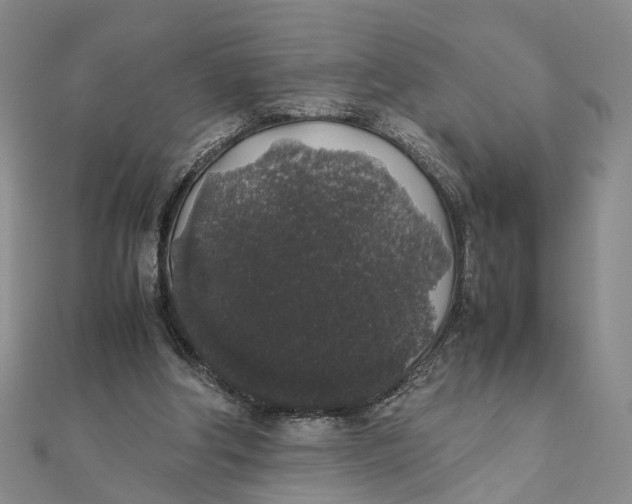 X0000111880202200908131640