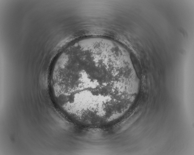 X0000111880203200908131640