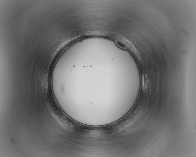 X0000111880204200908131640