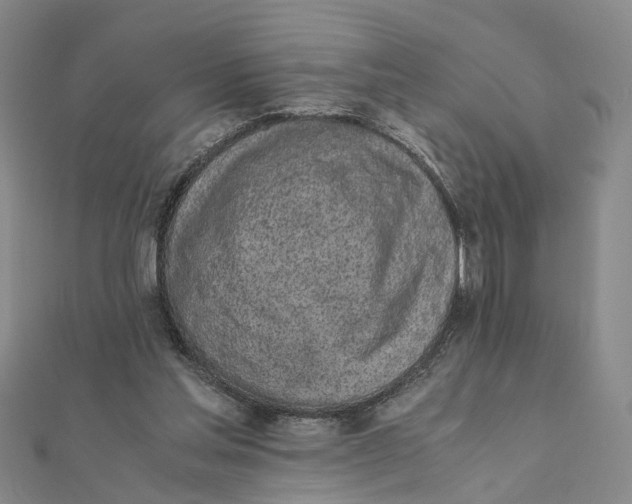 X0000111880205200908131640