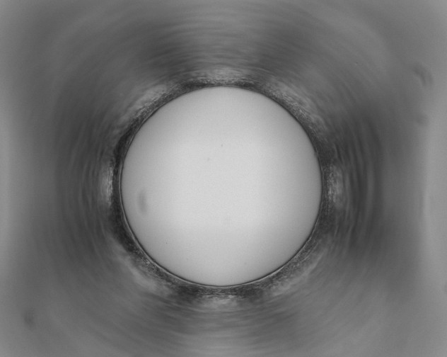 X0000111880206200908131640