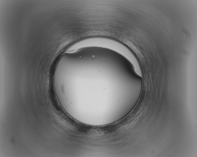 X0000111880207200908131640