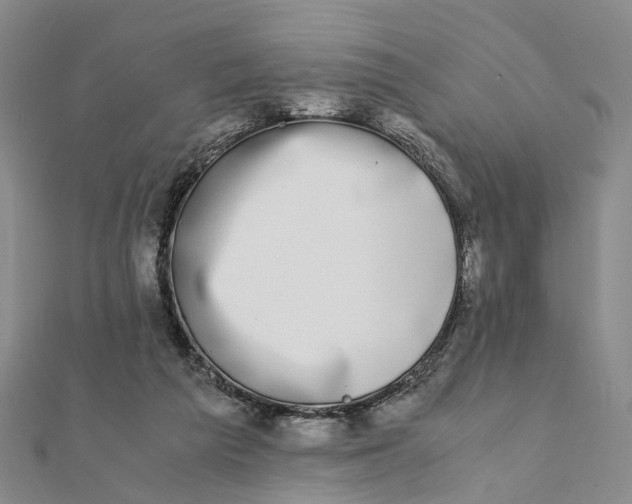 X0000111880209200908131640