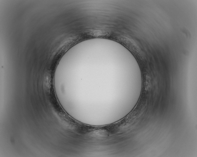 X0000111880210200908131640